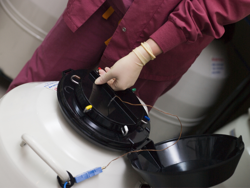 Patient Trust and Confidence in the Chicago IVF Laboratory